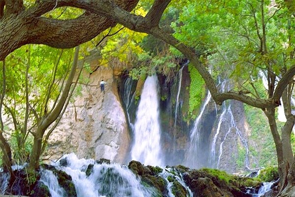 فروش دستگاه لیزر مو در شهرکرد با قیمت ویژه 2025